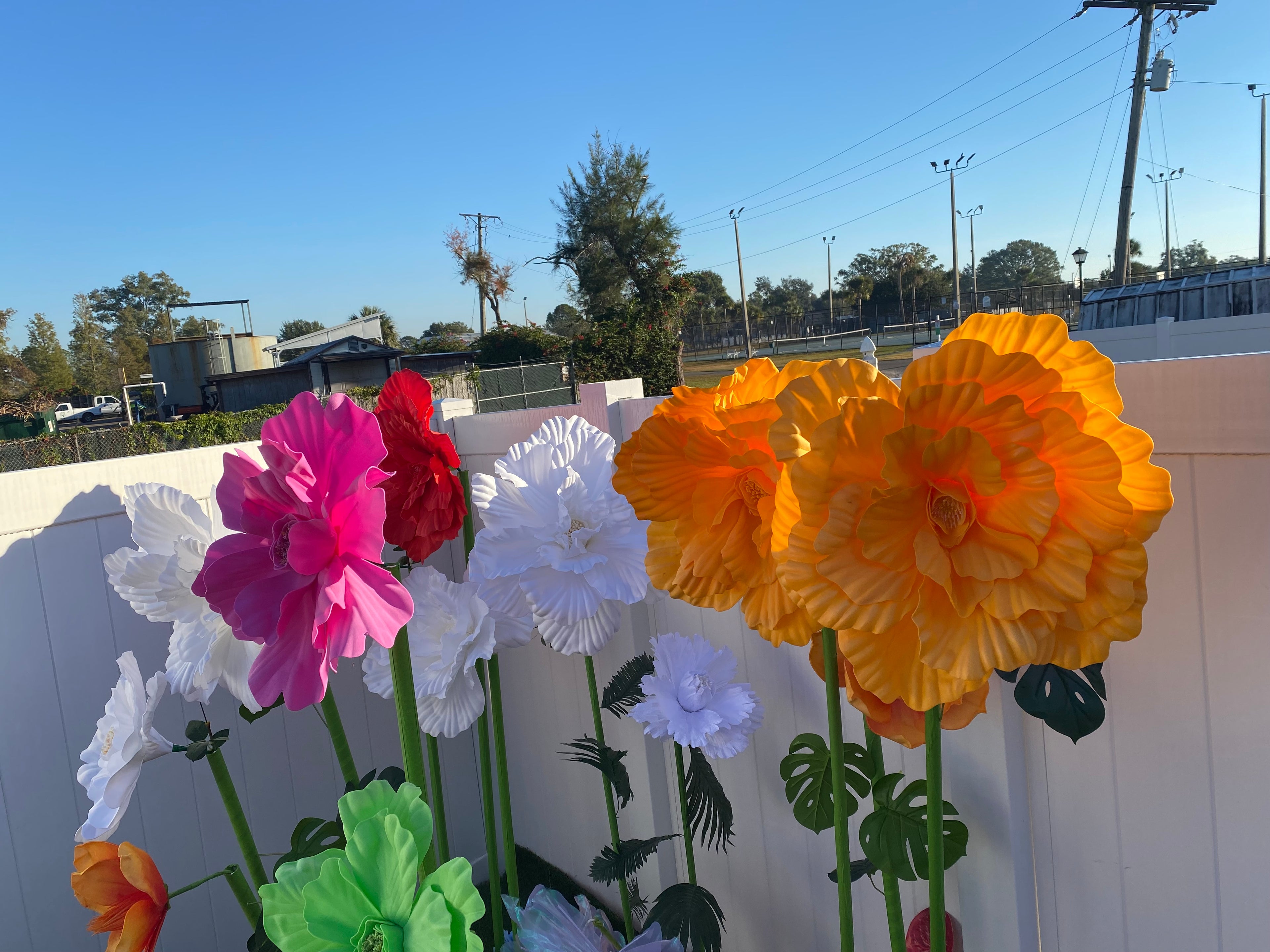 Yellow Gigantic Flowers