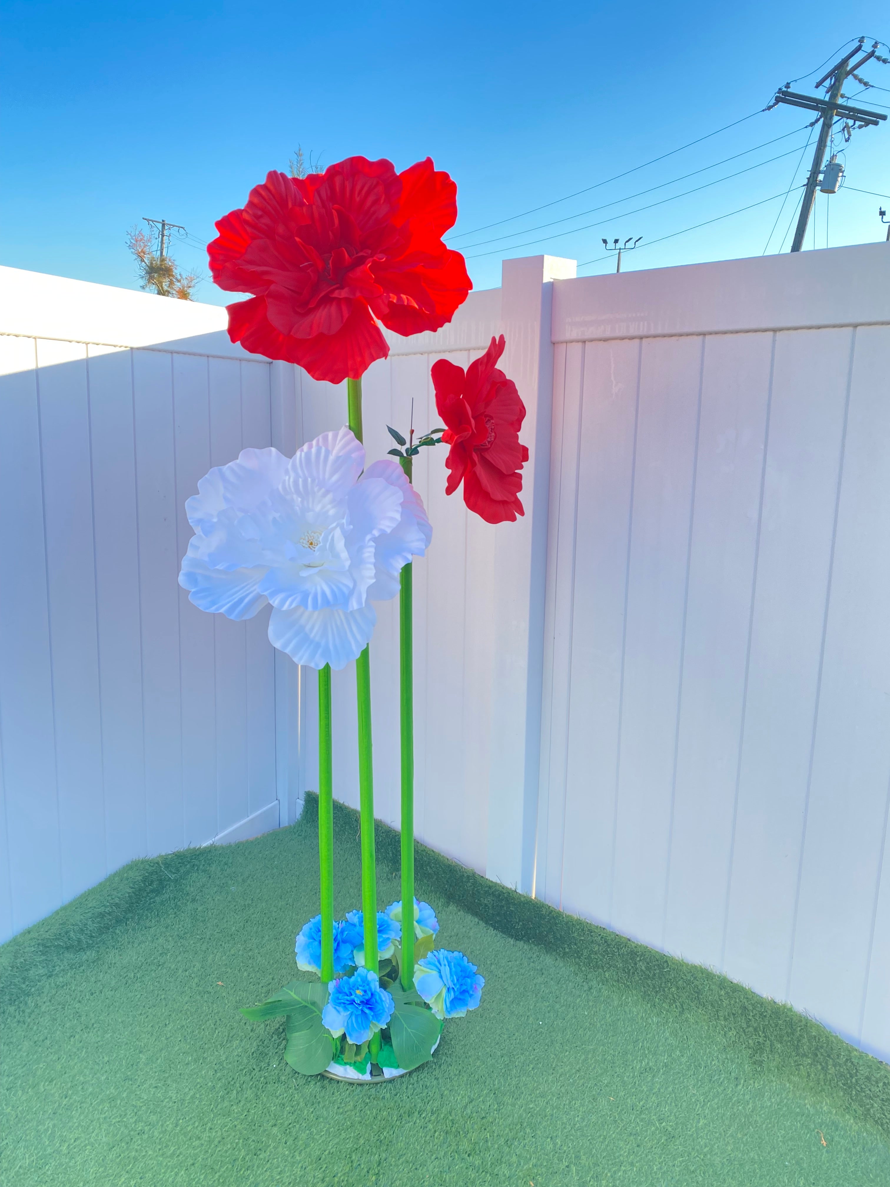 Red and White Gigantic Flowers