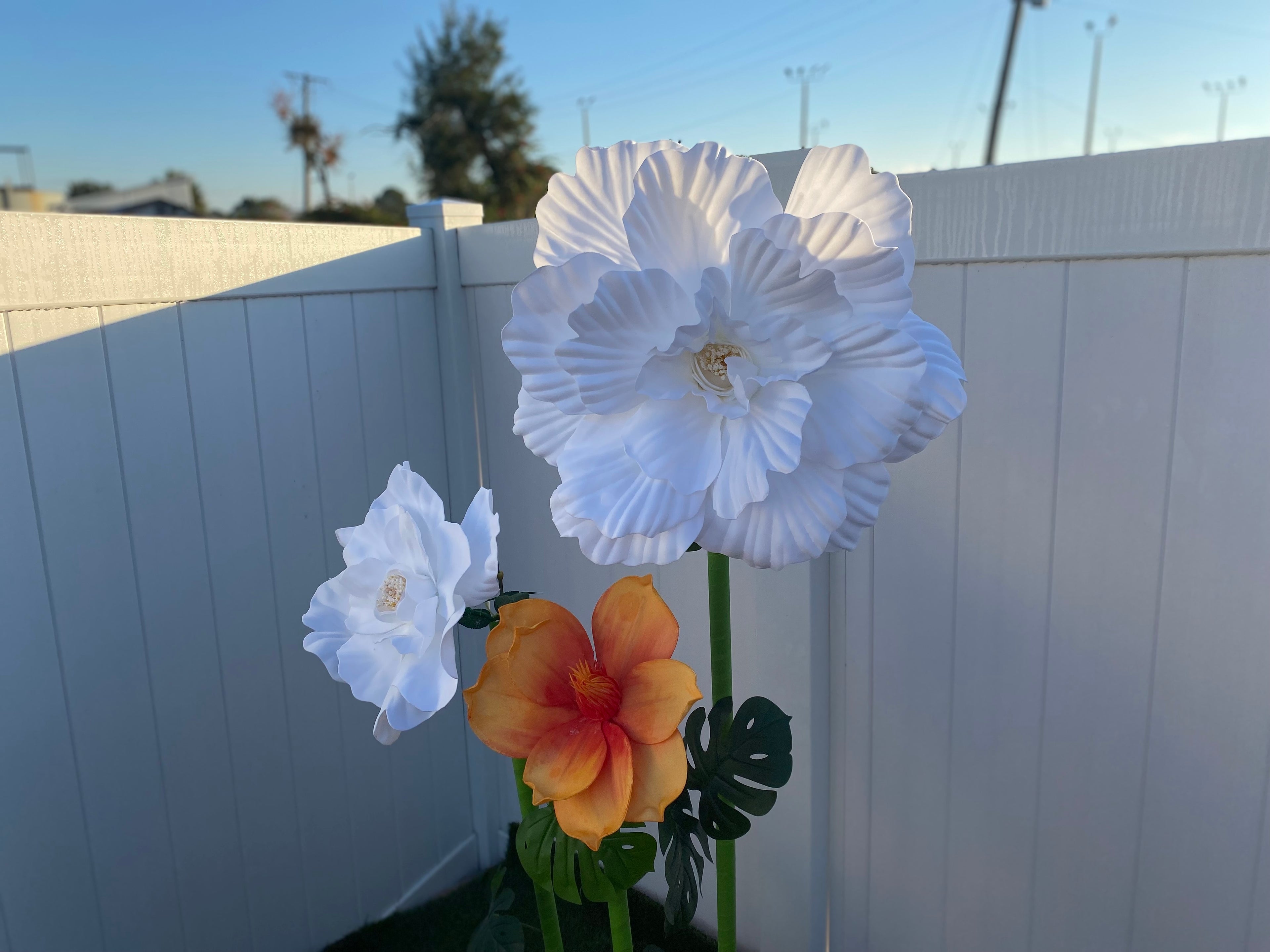 Yellow and White Gigantic Flowers