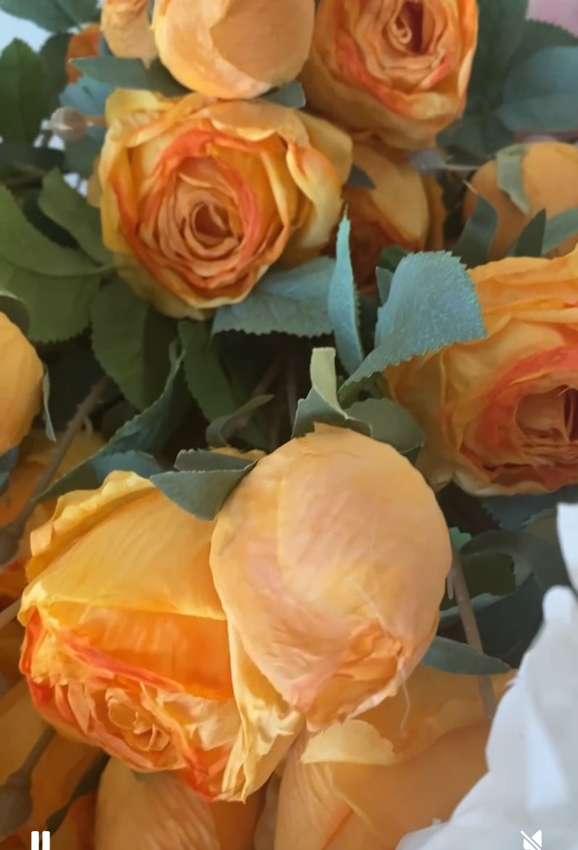 Yellow Roses for you
