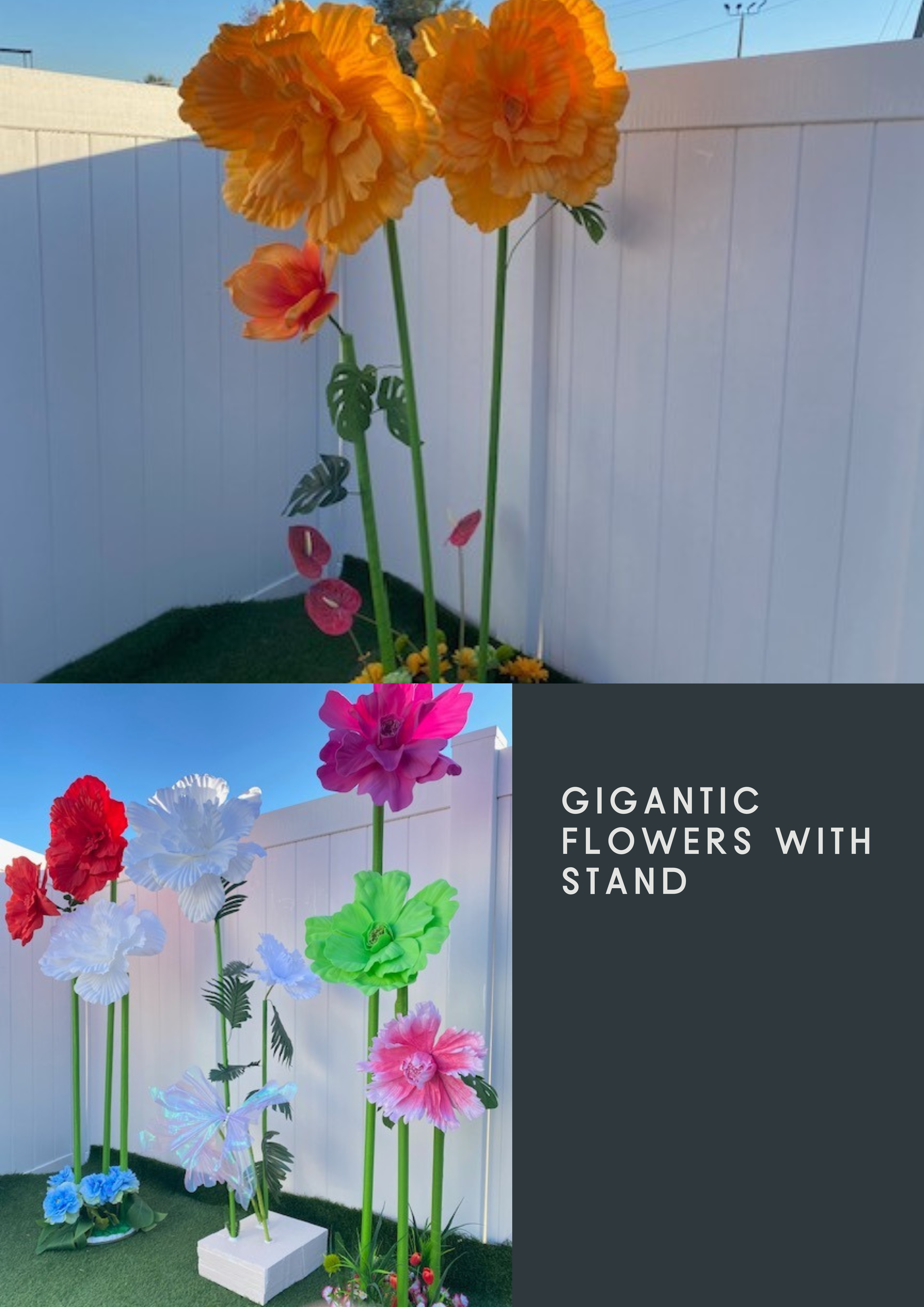 Gigantic flowers with stands