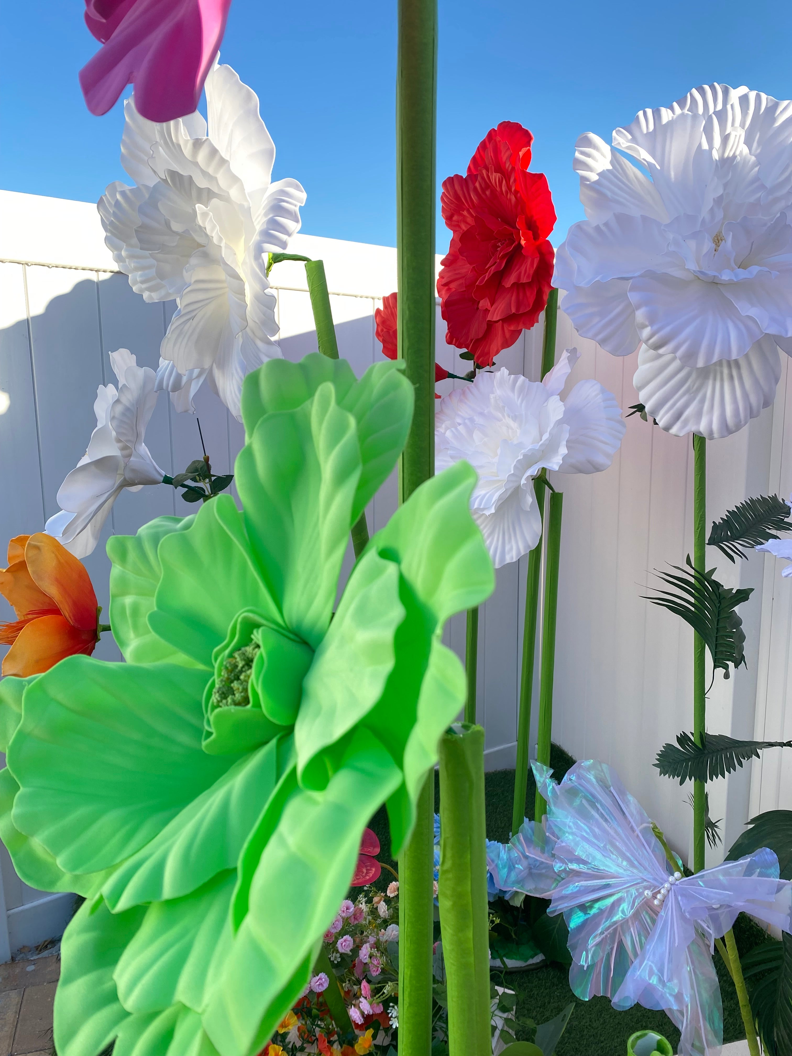 White and Orange Gigantic Flowers
