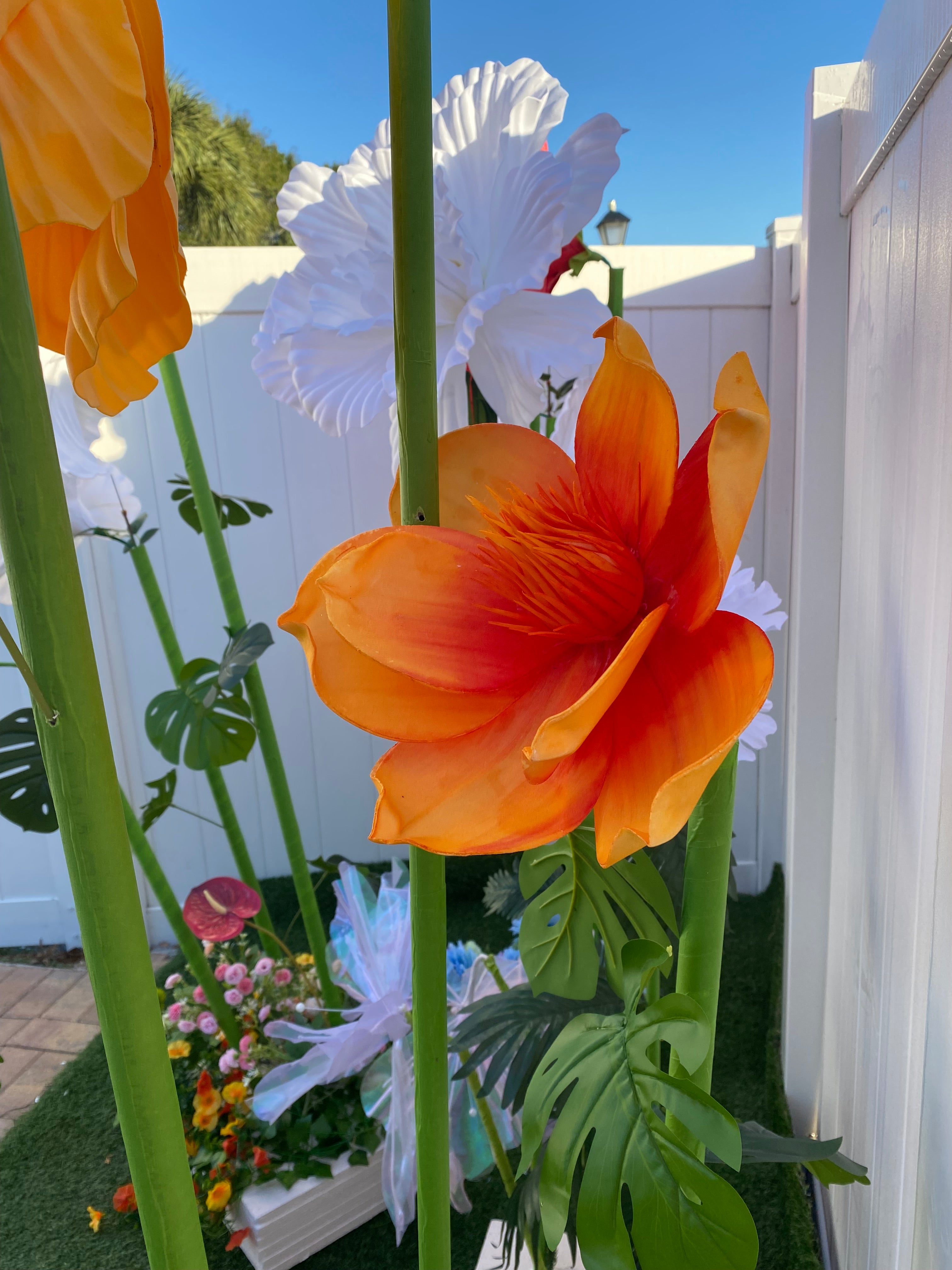 White and Orange Gigantic Flowers